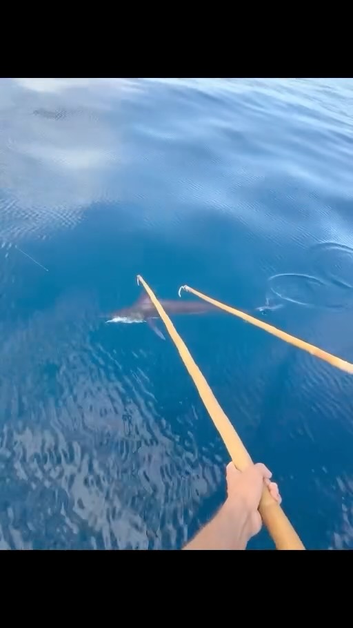 This was the second video that got cut off! The good video! #spitfiresportfishing
