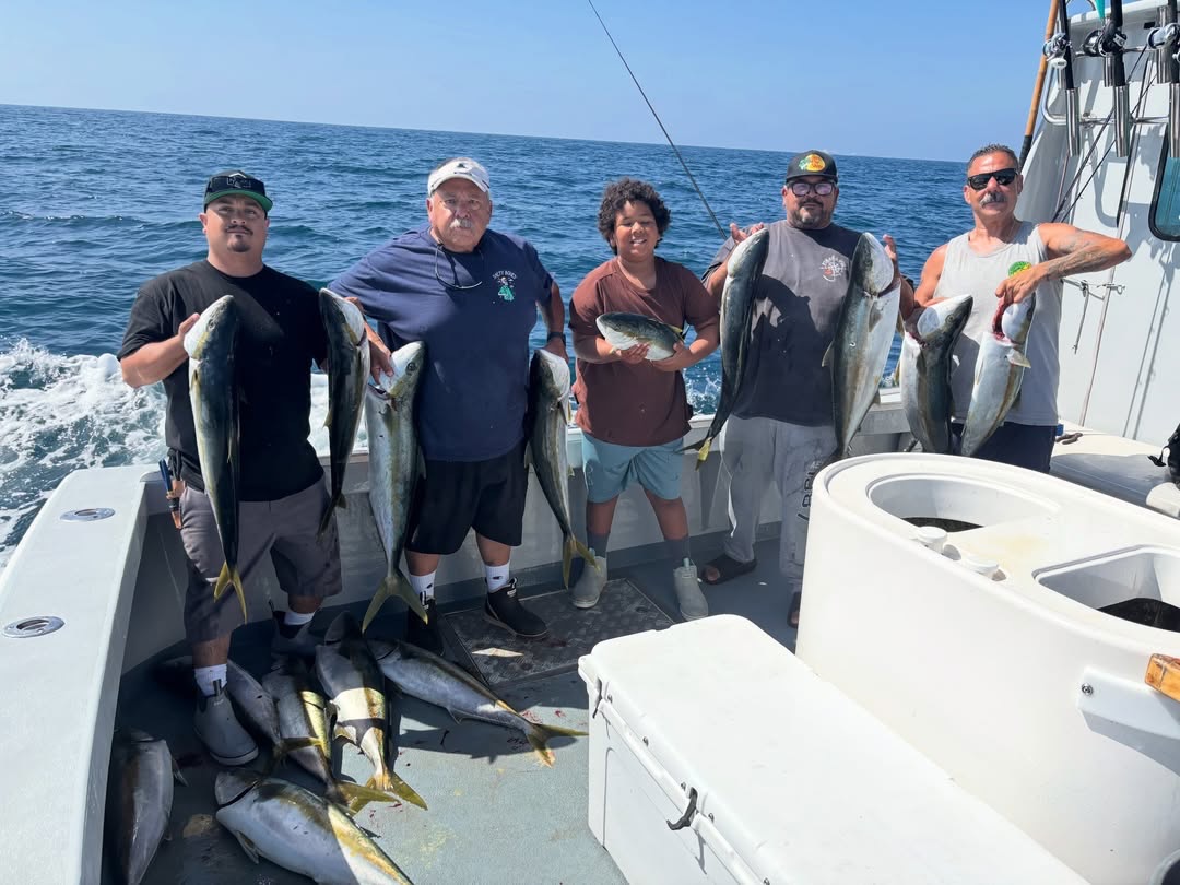 Much better hook to land ratio today 15 yellowtail for our 5 anglers! 818-585-1959 for info or to book #freespiritsportfishing