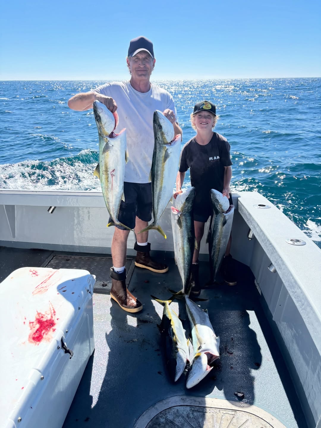 6 yellowtail for our 2 anglers lots of boat pressure is not making things easy but we had a few good shots! 818-585-1959 for info or to book #freespiritsportfishing