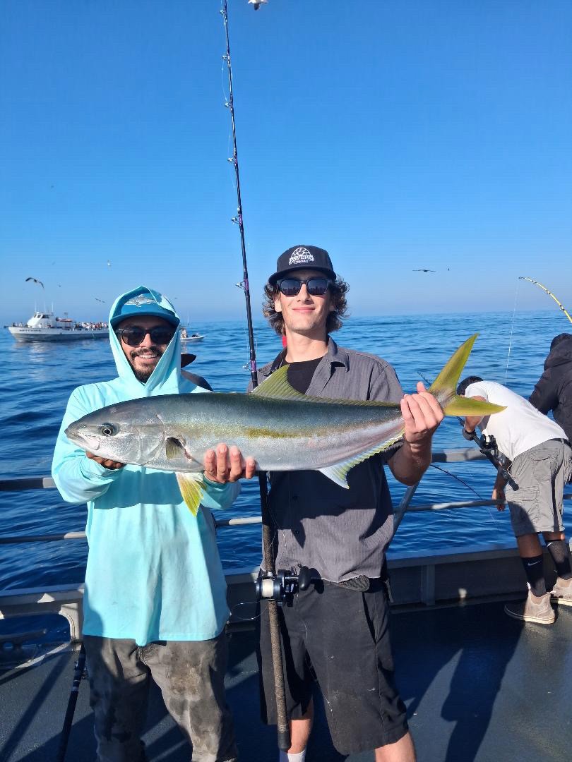 9 yellowtail this morning! Trips daily 7:30am & 12:30pm