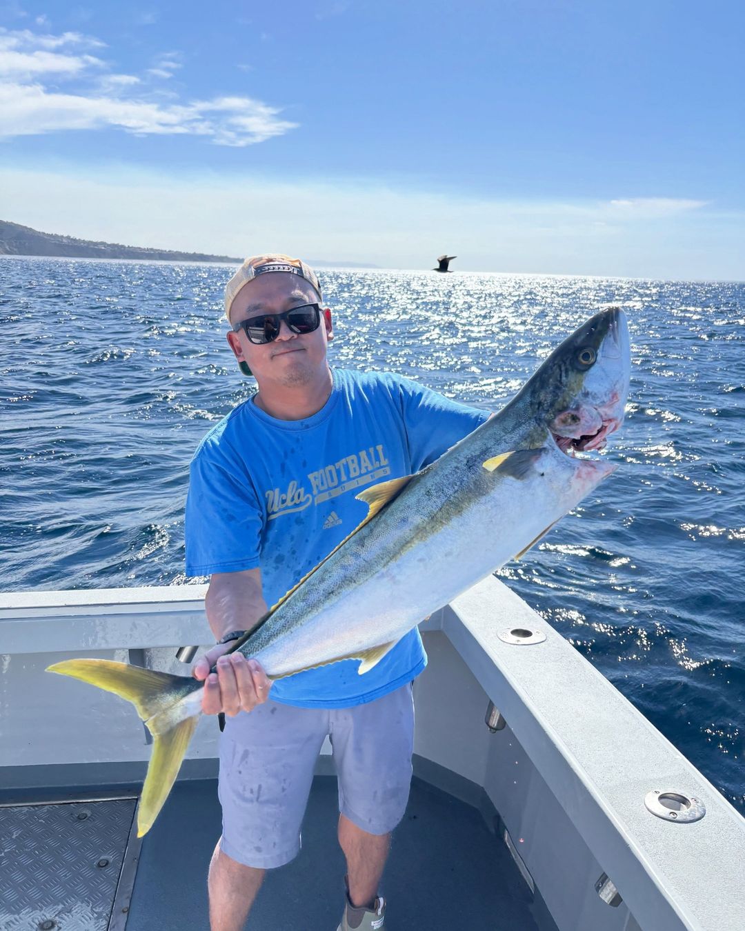 6 yellows and some bass for our 3 anglers today! Nothing is coming easy the last  few days still seeing good sign of fish but the birds and seals are making things pretty tough! 81