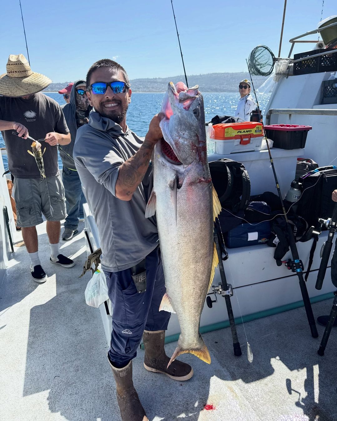 Well, today is the first day in a long time we did not catch a yellowtail. It wasn’t from the lack of Fish. We Just couldn’t get one to eat a hook. Not to mention birds and sea lio