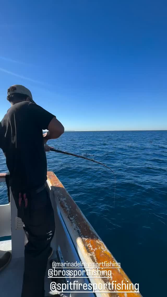 Bent rod and birds working the water 🎣 Another solid hookup aboard the Spitfire out of Marina del Rey Sportfishing. Come get in on the action, and book your next trip with us!

🎥