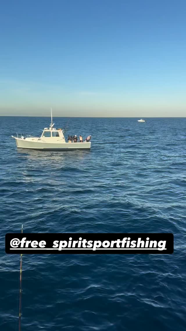 Those last few feet will get your heart racing! 🎣🔥 The @free_spiritsportfishing crew putting in work at the rail!

Who’s ready to get out on the water? Check the link in our bio 