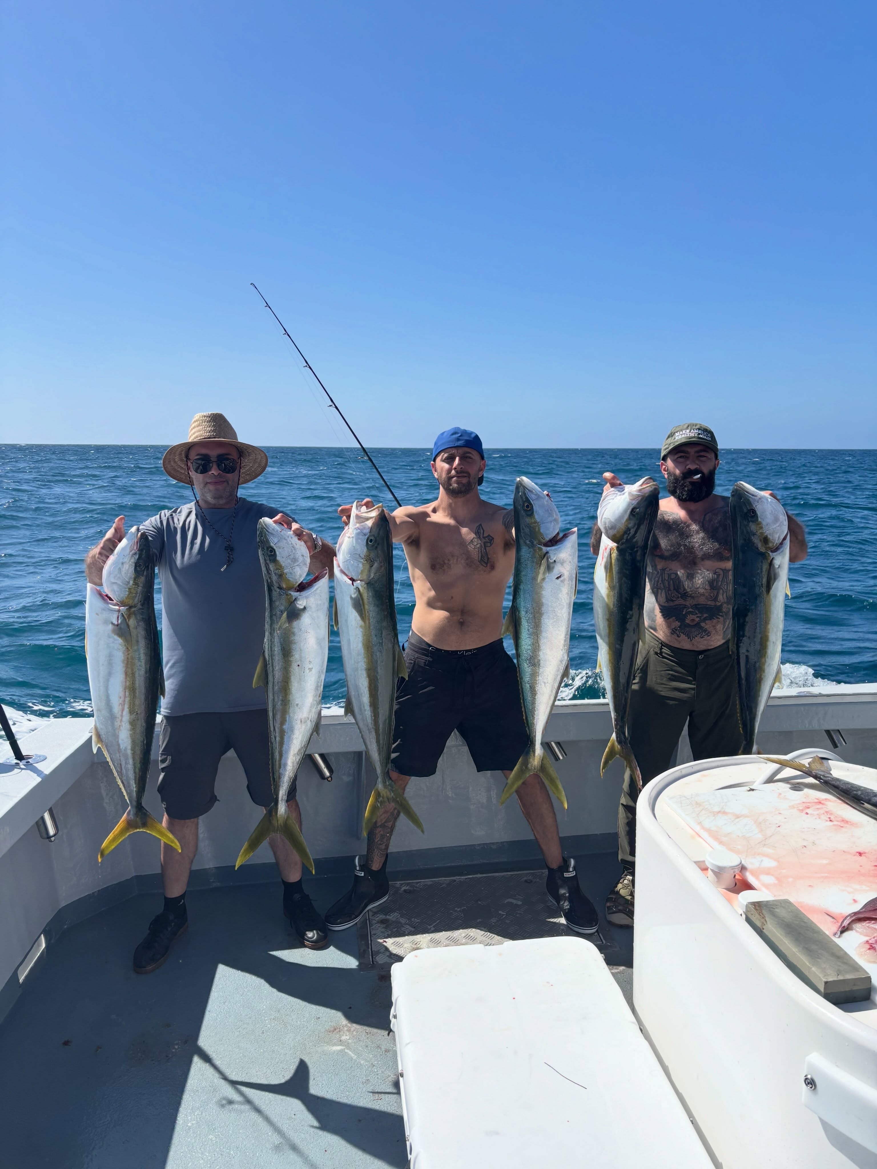 6 yellowtail for our 3 anglers high casualties today! 818-585-1959 for info or to book #freespiritsportfishing