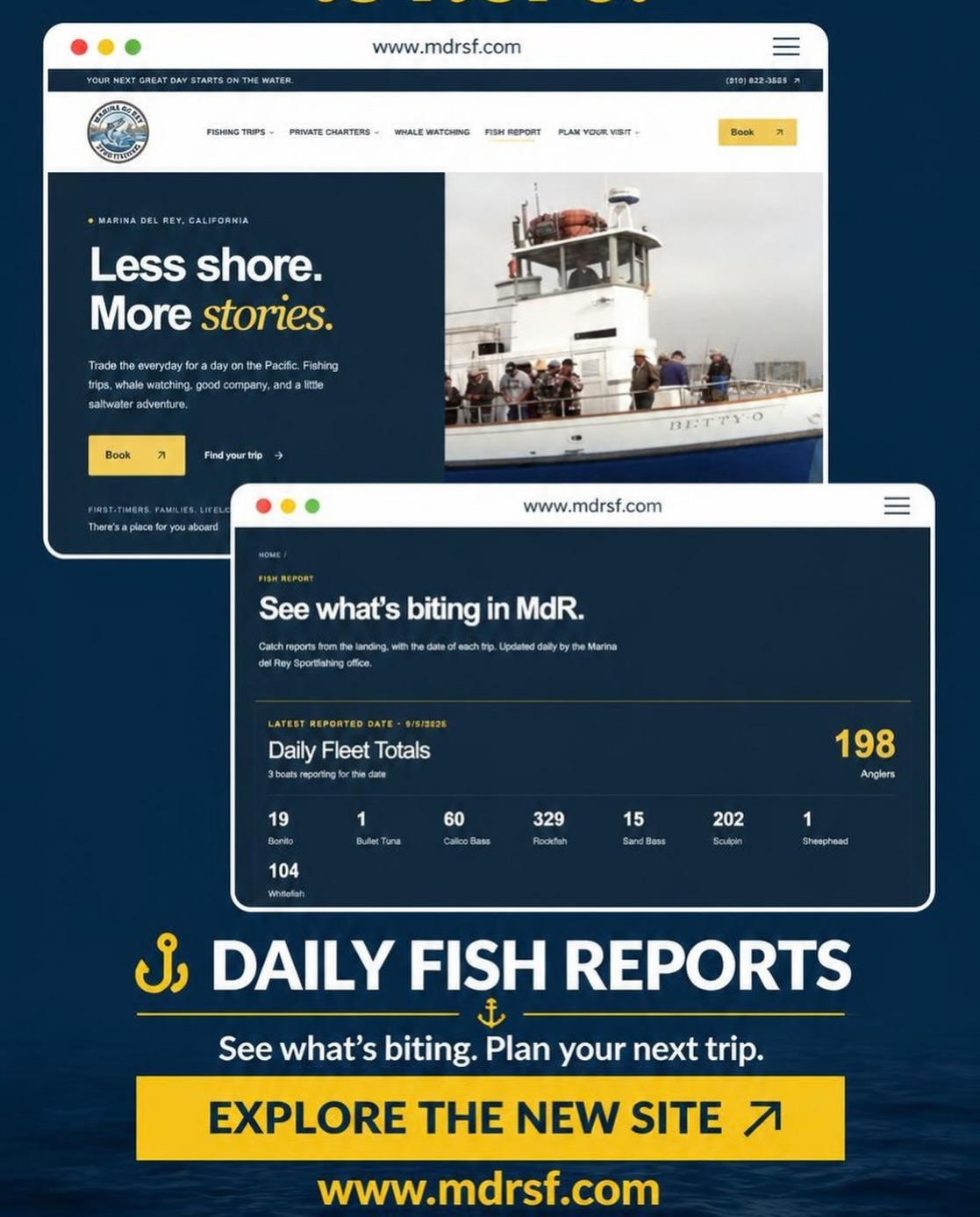 The new website is LIVE! Daily fish reports and the latest and greatest from Marina del Rey Sportfishing.

Check it out at mdrsf.com
