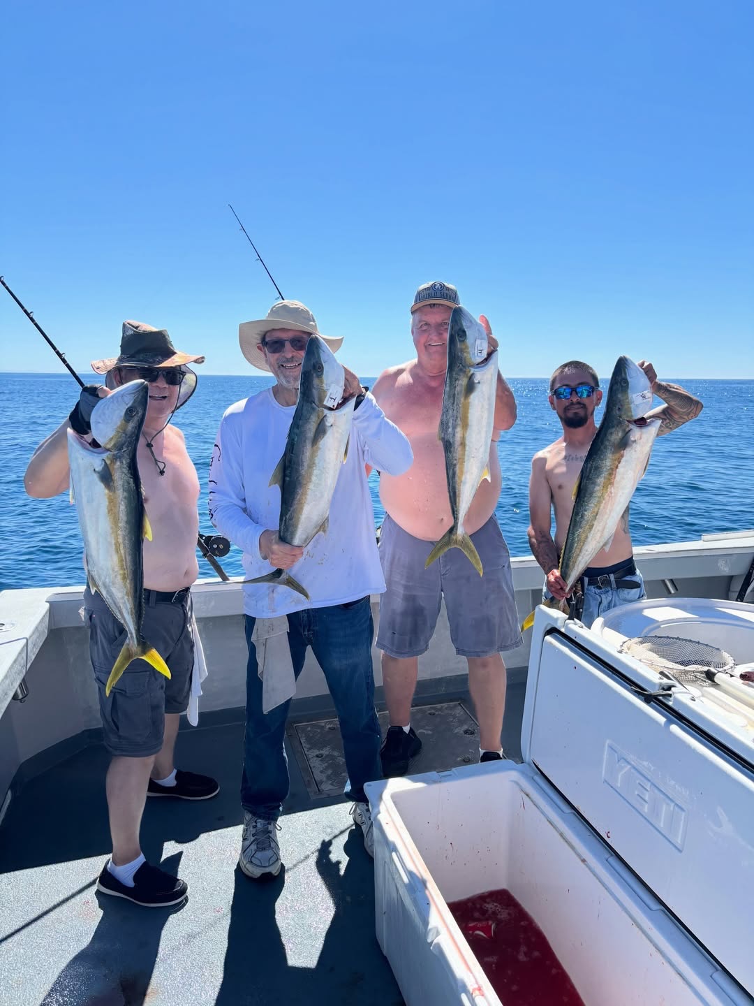 Lots of boats and heavy casualties today we managed 4 yellows for our efforts with a splattering of bass and full speed 1/2 pound yellowtail! 818-585-1959 for info or to book #free