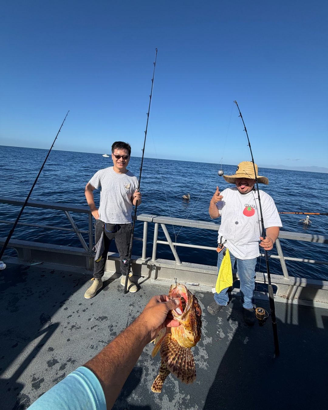“Who do we give it to? He ate both their hooks!” 😅😂 #newdelmar